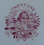 Neptune Mark
